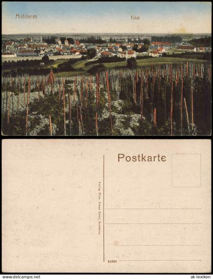 CPA Molsheim Molse Stadtpartie Reben 1910  Unterelsass