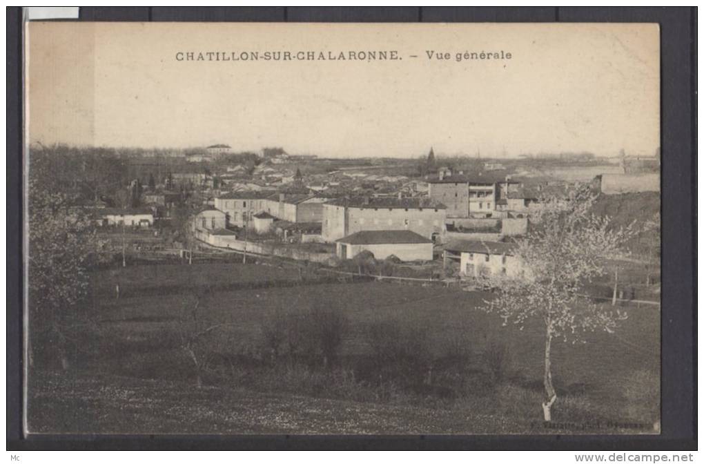 01 - Châtillon sur Chalaronne - Vue générale