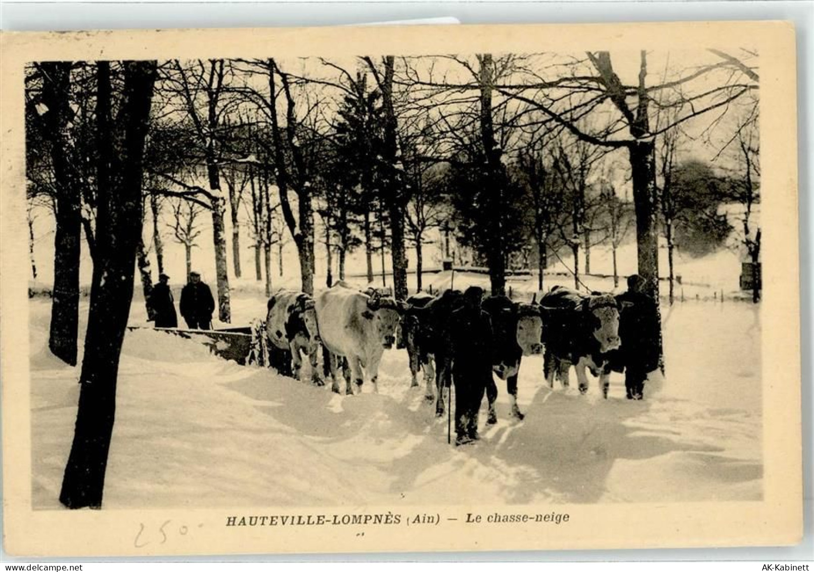 01110 Hauteville-Lompnes 1931 Winter rinder - 51890903