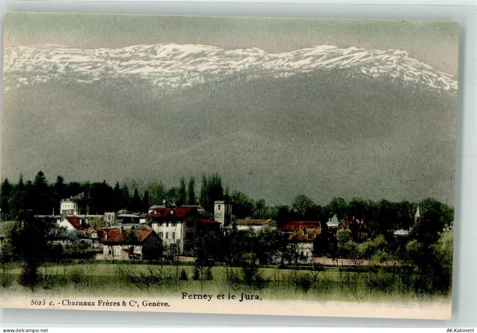 01210 Ferney-Voltaire - 39638626