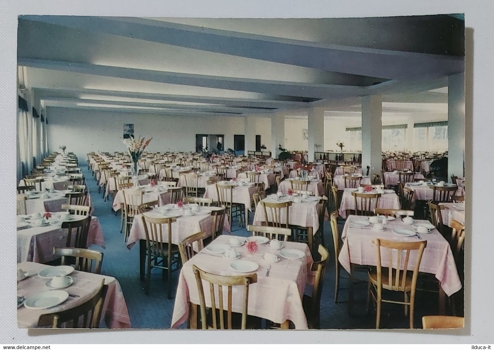 01392 Cartolina - Roma - Domus pacis - centro turistico giovani