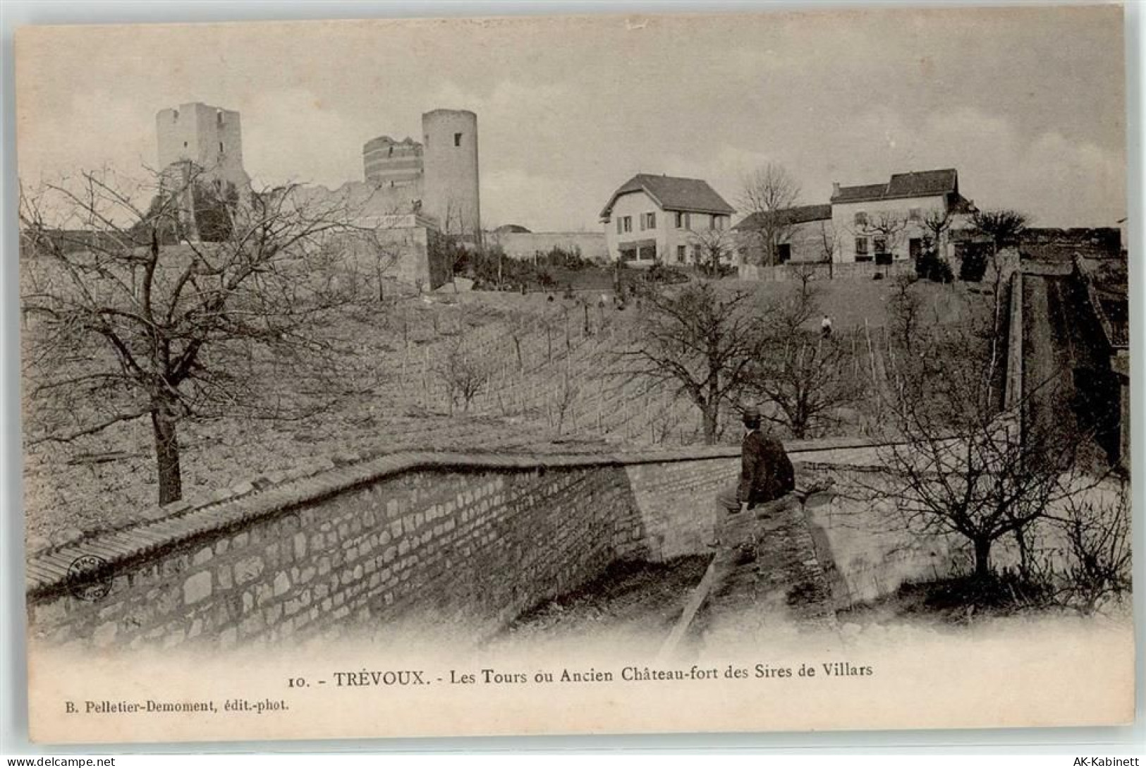 01600 Trevoux - 52030073