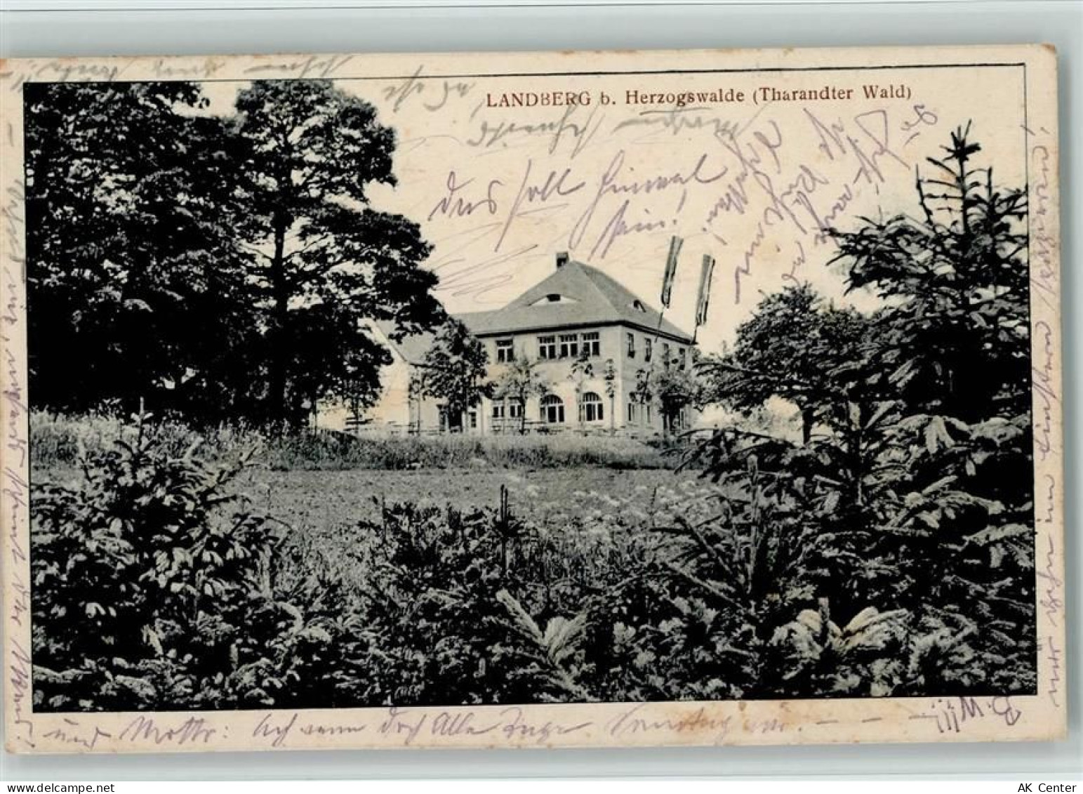 01723 O8211 Herzogswalde - Landberg - 13005160