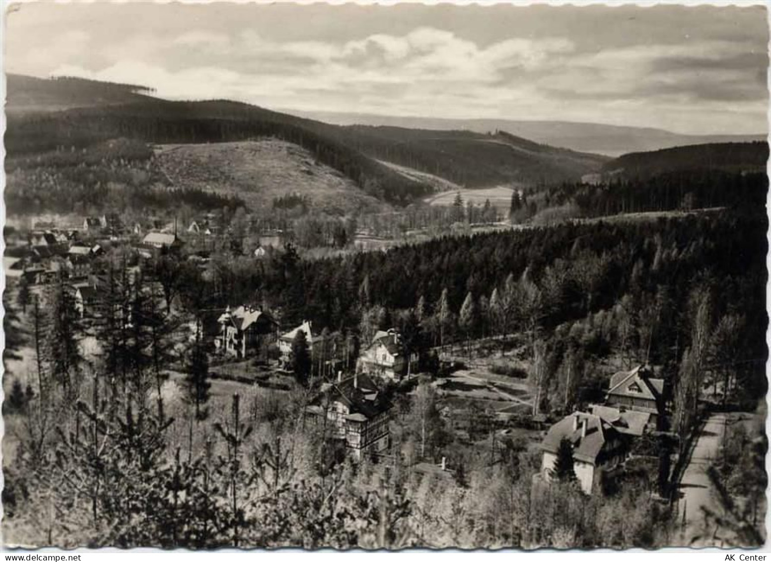 01744 O8231 Georgenthal 1957 - Georgenthal, Blick auf den Waldsäumweg.,V... - 20009269