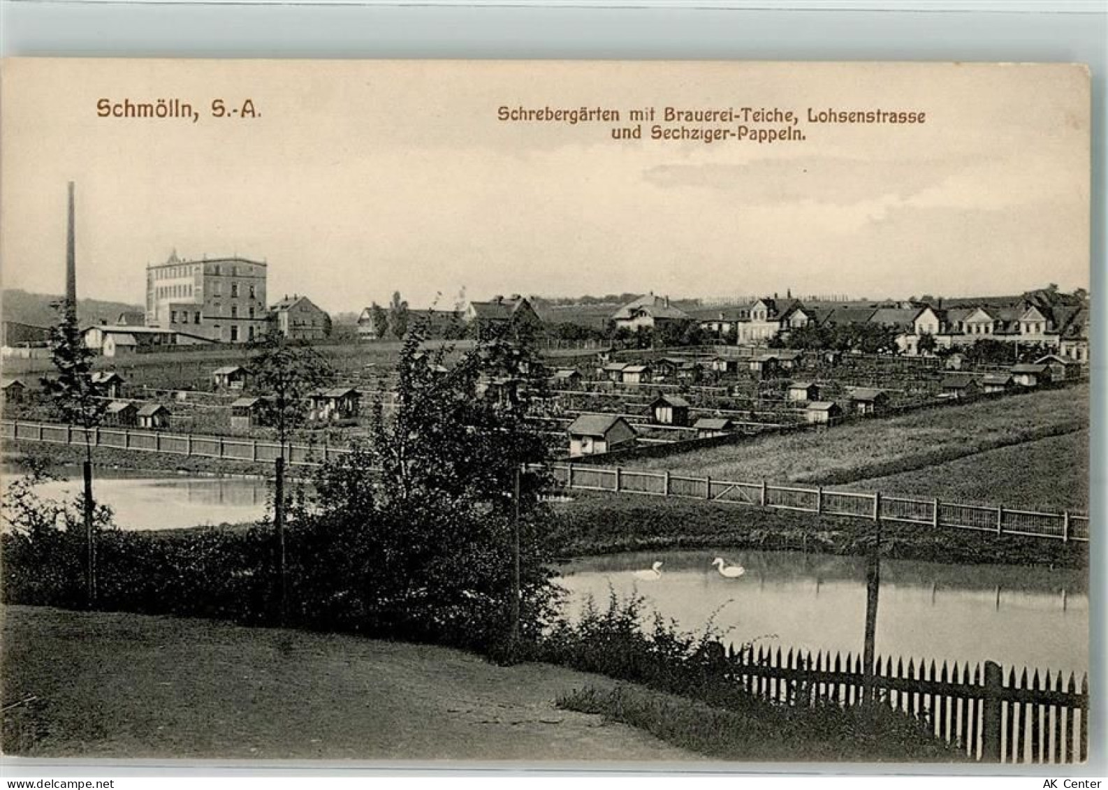 01877 O8508 Schmölln , OL - Schrebergarten Lohsenstraße Brauerei-Eiche S... - 13637720