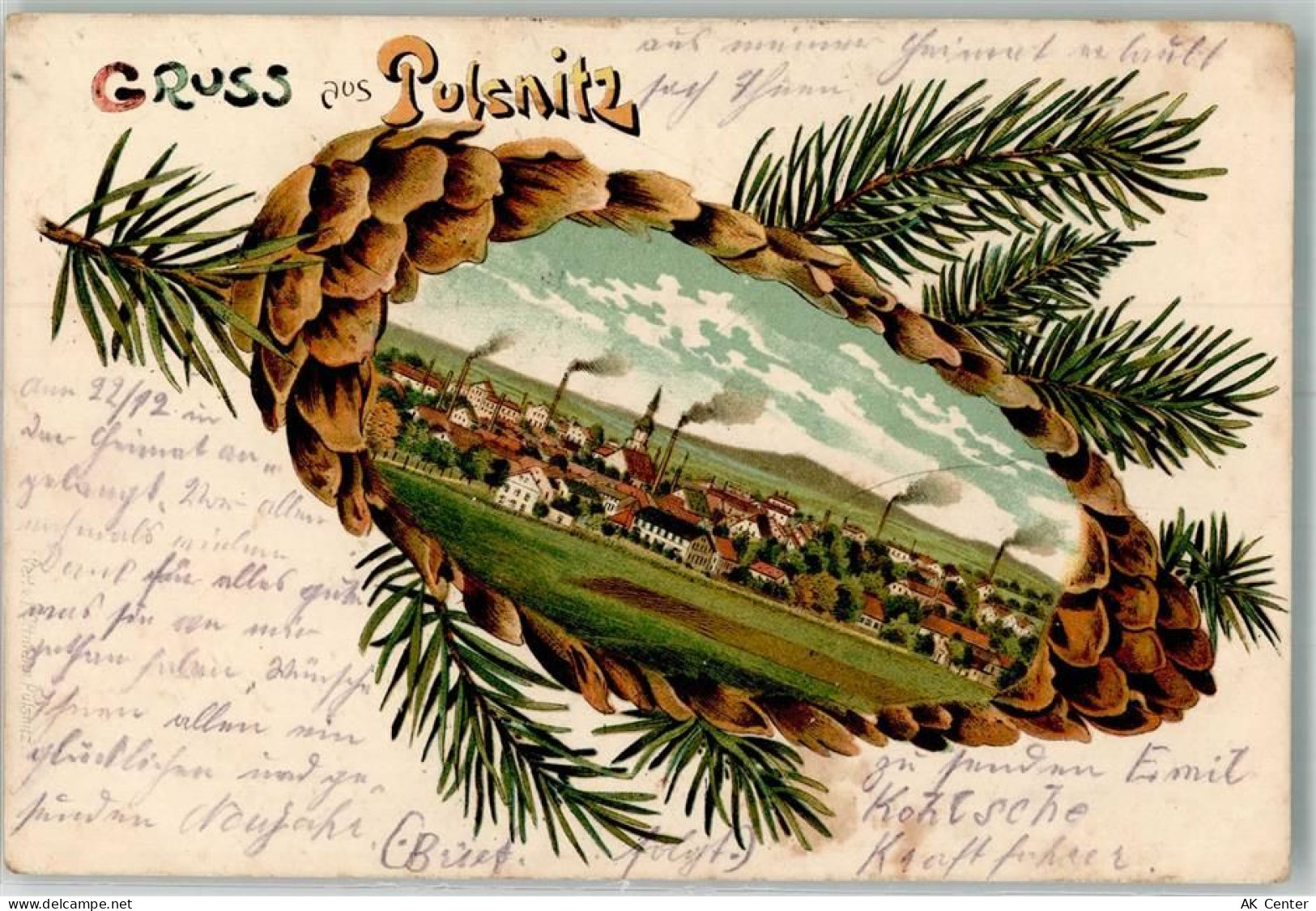 01896 O8514 Pulsnitz 1918 Lithographie Tannenzapfen Pulsnitz - 13642281