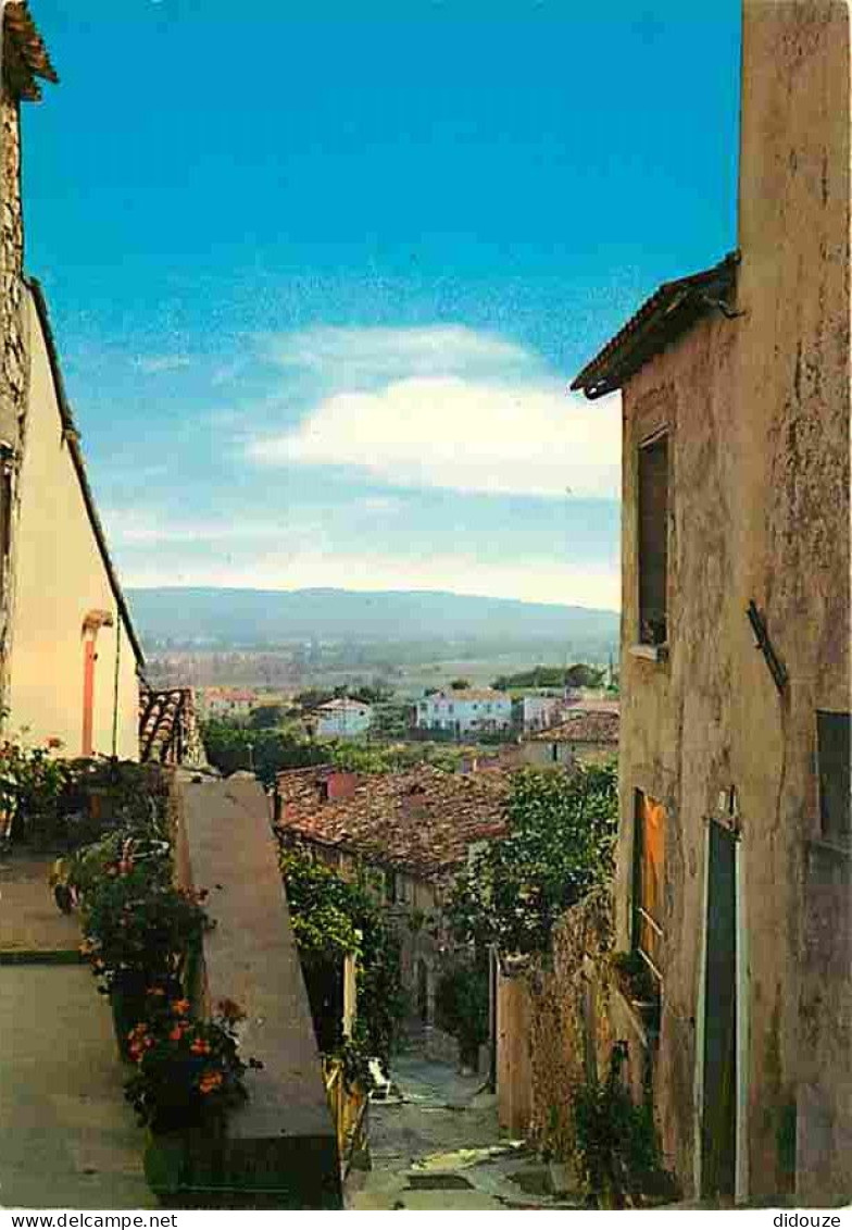 04 - Gréoux les Bains - Rue des Marquises - Fleurs - CPM - Voir Scans Recto-Verso