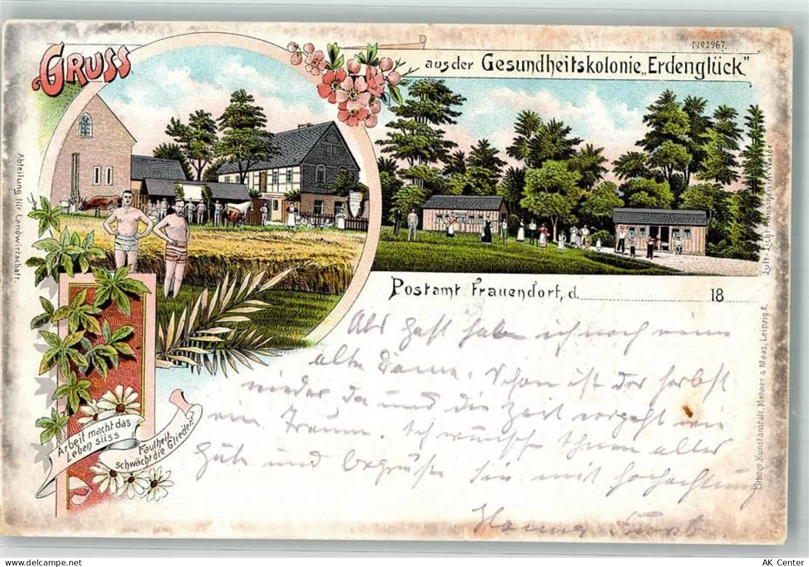 04654 O7241 Frauendorf b Geithain Lithographie Gesundheitskolonie Erdeng... - 13638924