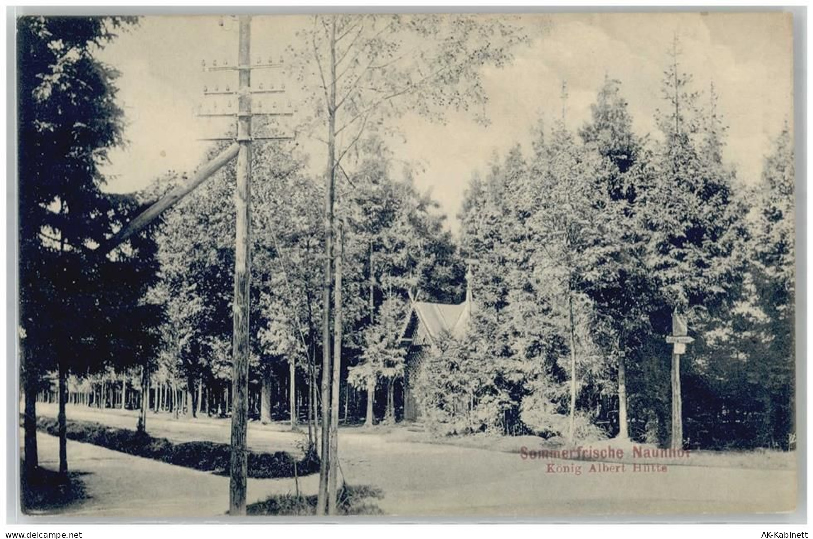 04683 O7245 Naunhof b Grimma - König Albert Hütte - 51660044