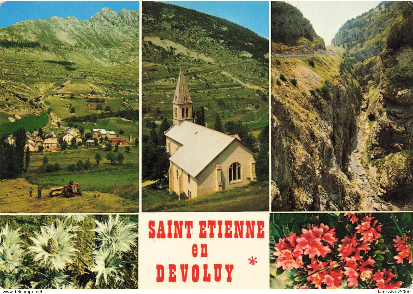 05 SAINT ETIENNE EN DEVOLUY multivues