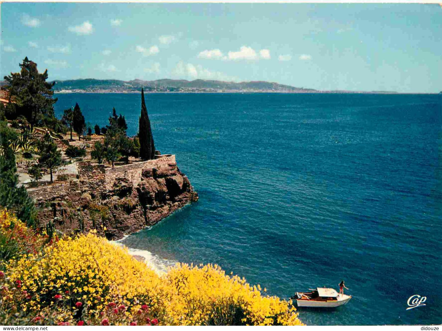 06 - Cannes - L'Estérel pittoresque au fond Cannes - CPM - Voir Scans Recto-Verso