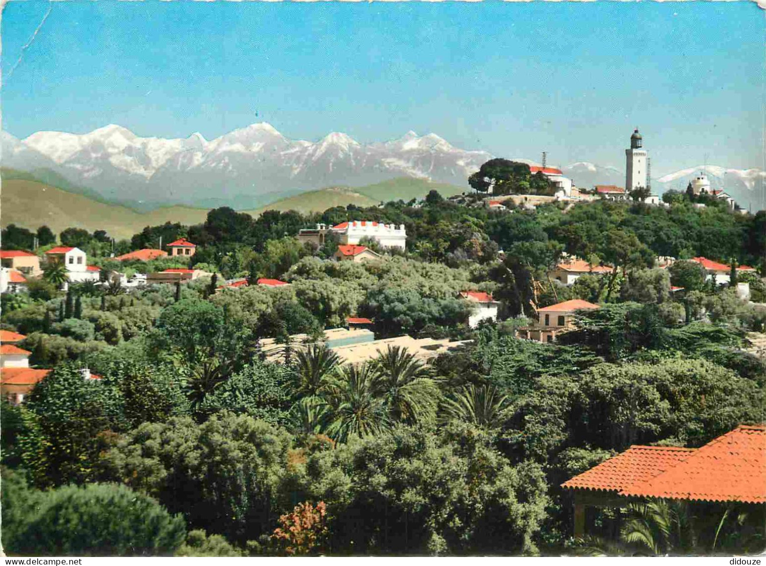 06 - Cap d'Antibes - La Garoupe - Le phare - Au fond les Alpes neigeuses - Mention Photographie Véritable - Carte dentel