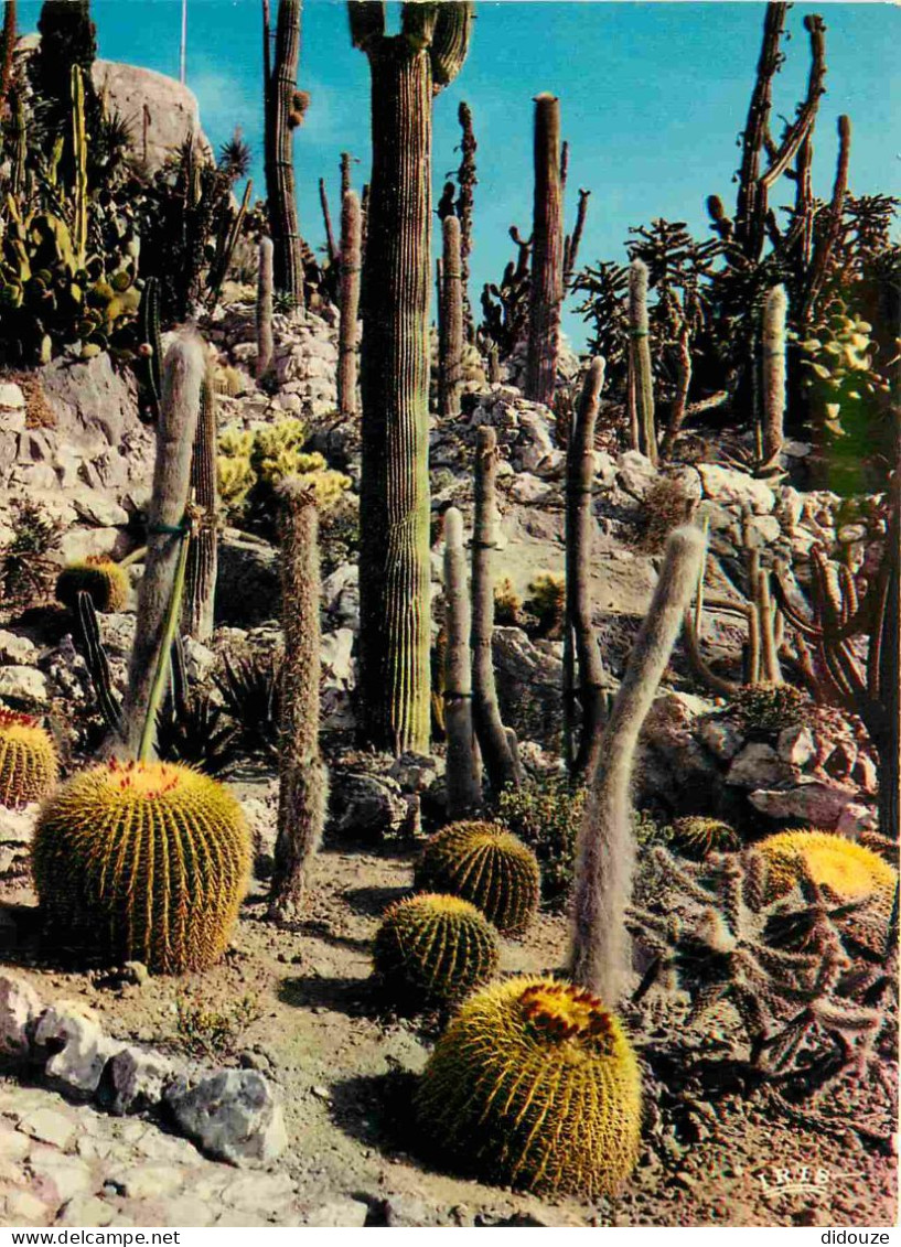 06 - Eze - Le Jardin Exotique - CPM - Voir Scans Recto-Verso