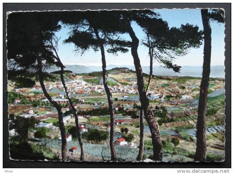 06 Vallauris vue aerienne D06D C06155C RH022703