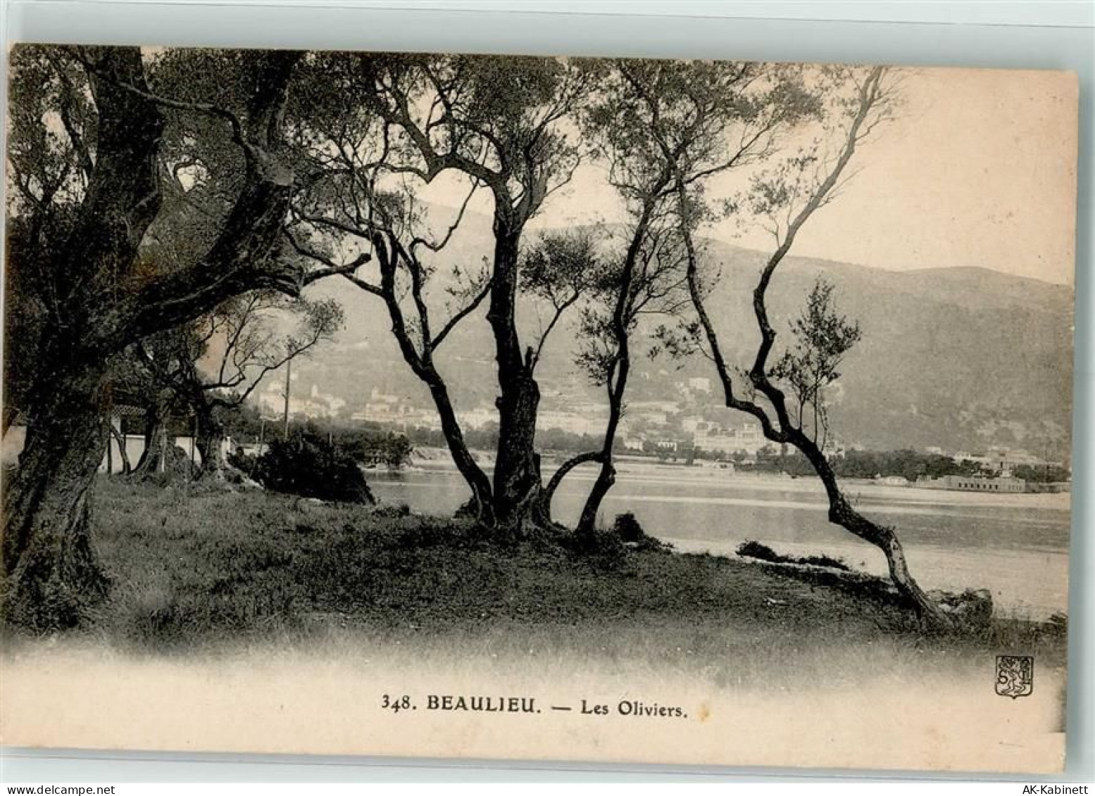 06310 Beaulieu-sur-Mer FOTO KEINE AK Les Oliviers - 39638678
