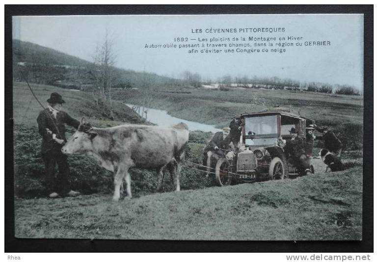 07 - Les Cévennes pittoresques - automobile dépannée par une vache