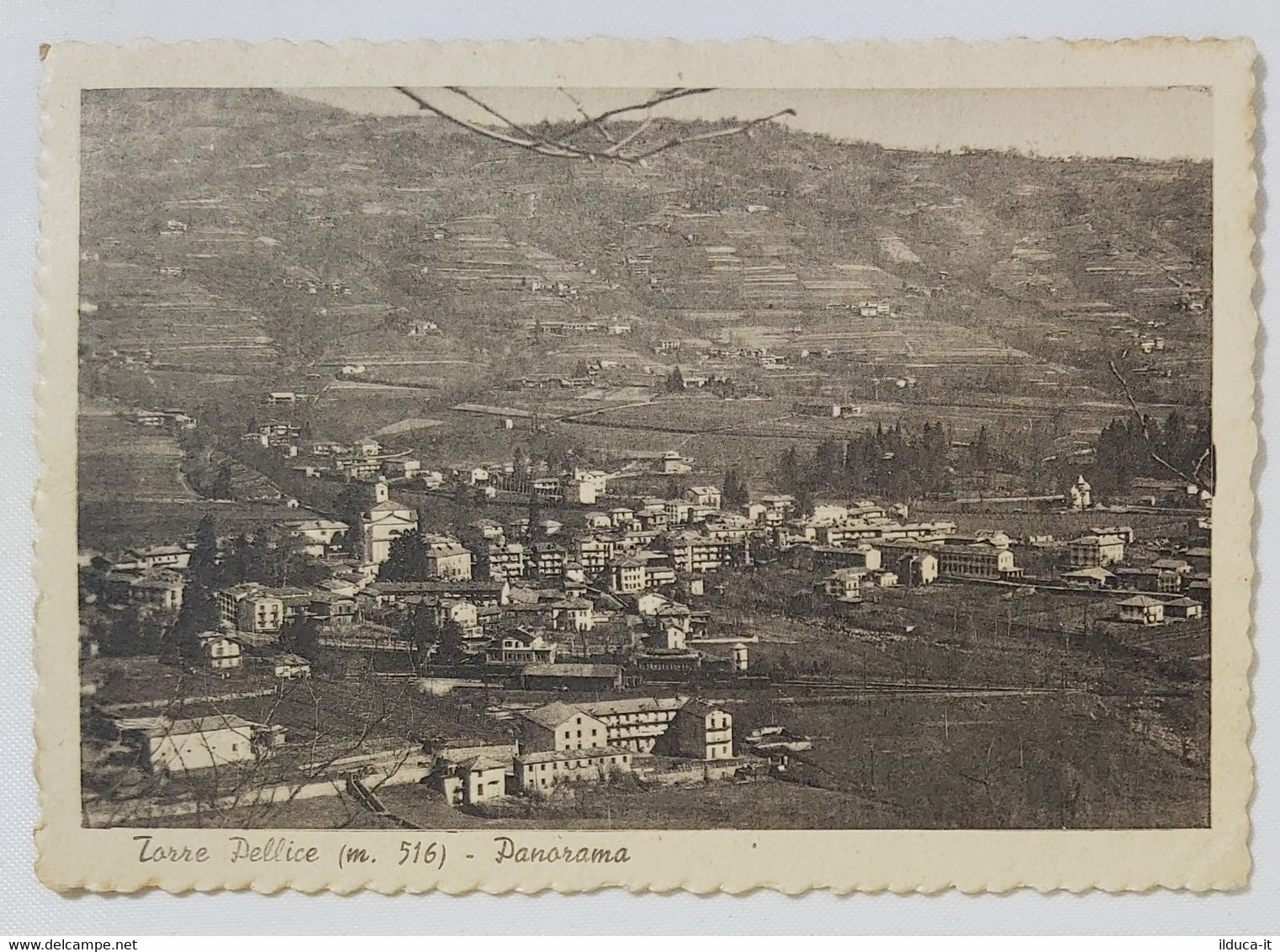 08555 Cartolina - Torino - Torre Pellice - panorama - 1954