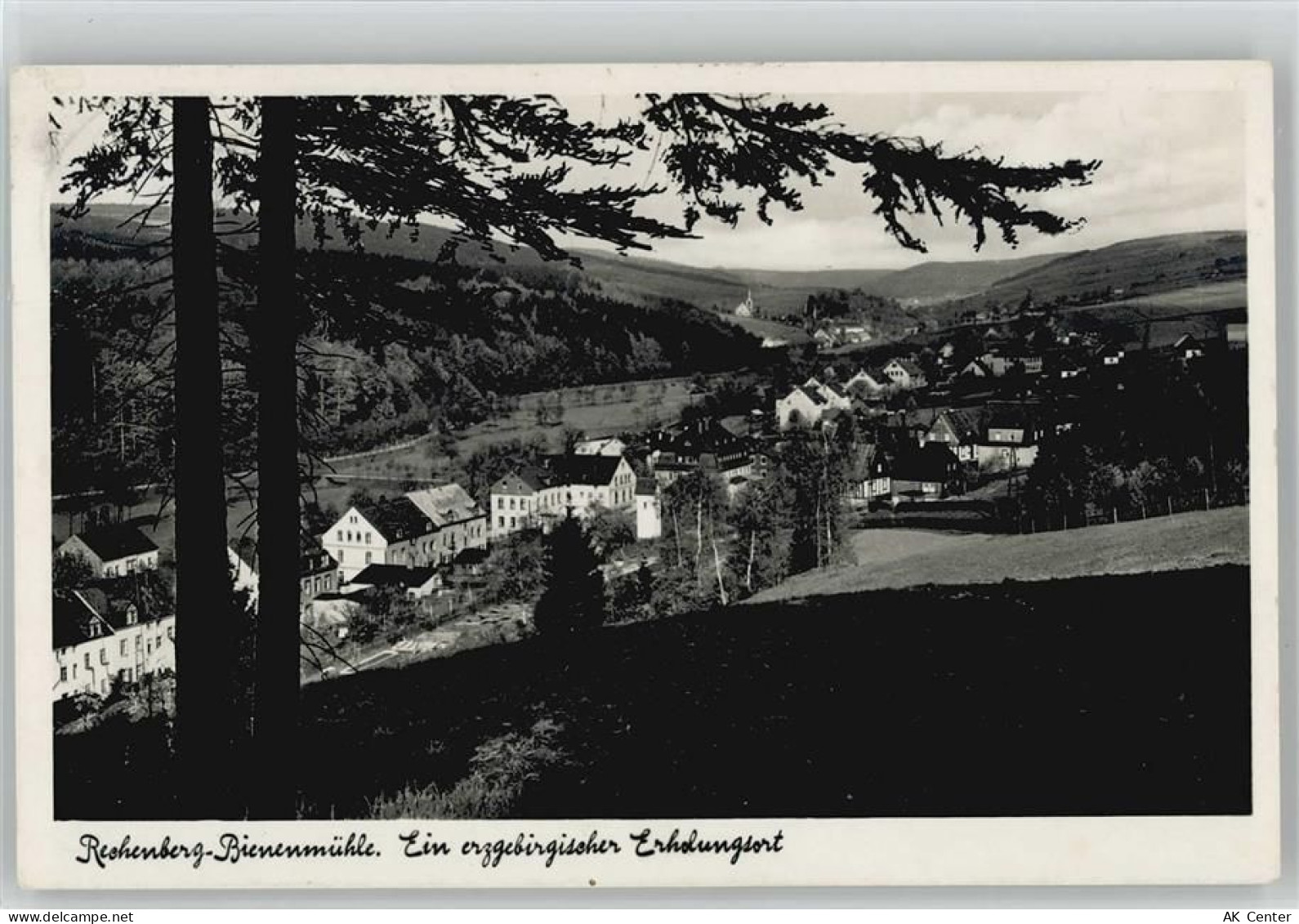 09623 O9213 Rechenberg-Bienenmühle - 10016546