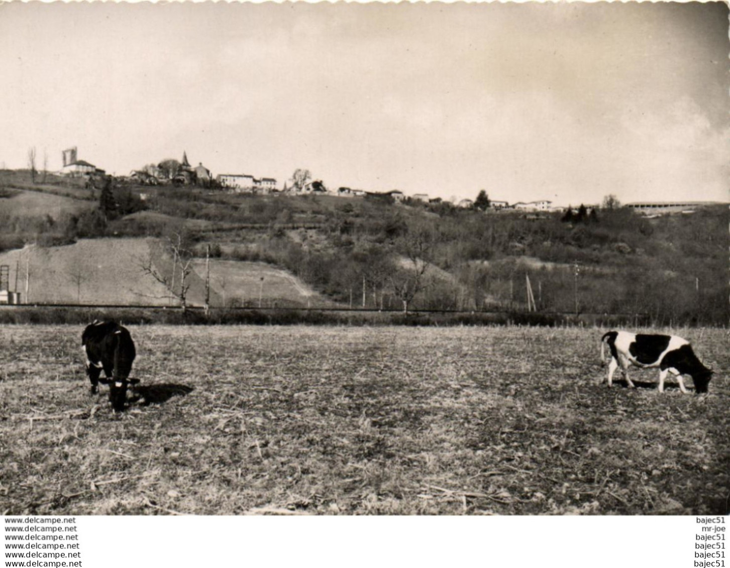 1 cpsm Castelnau rivière basse - vue générale