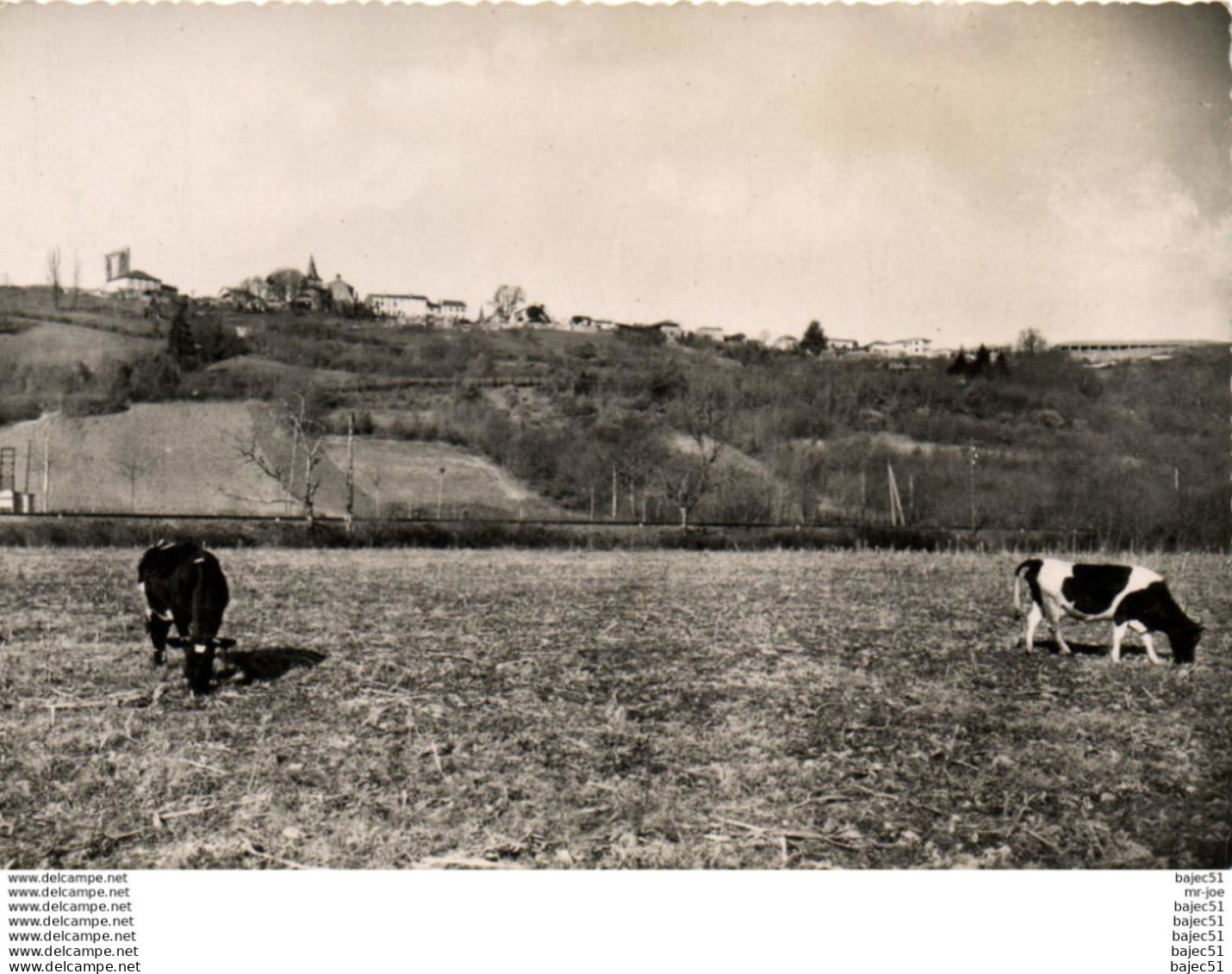 1 cpsm Castelnau rivière basse - vue générale