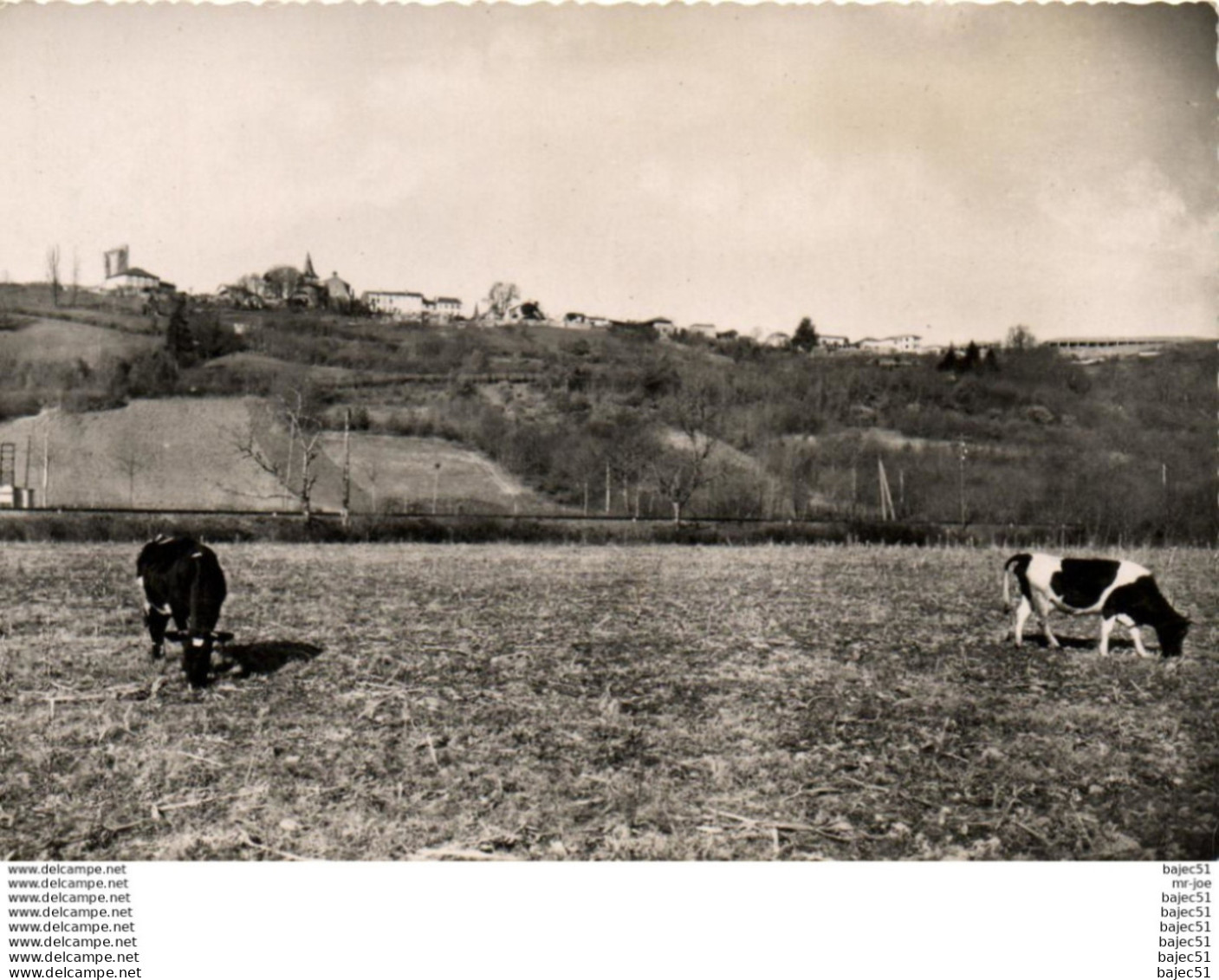 1 cpsm Castelnau rivière basse - vue générale
