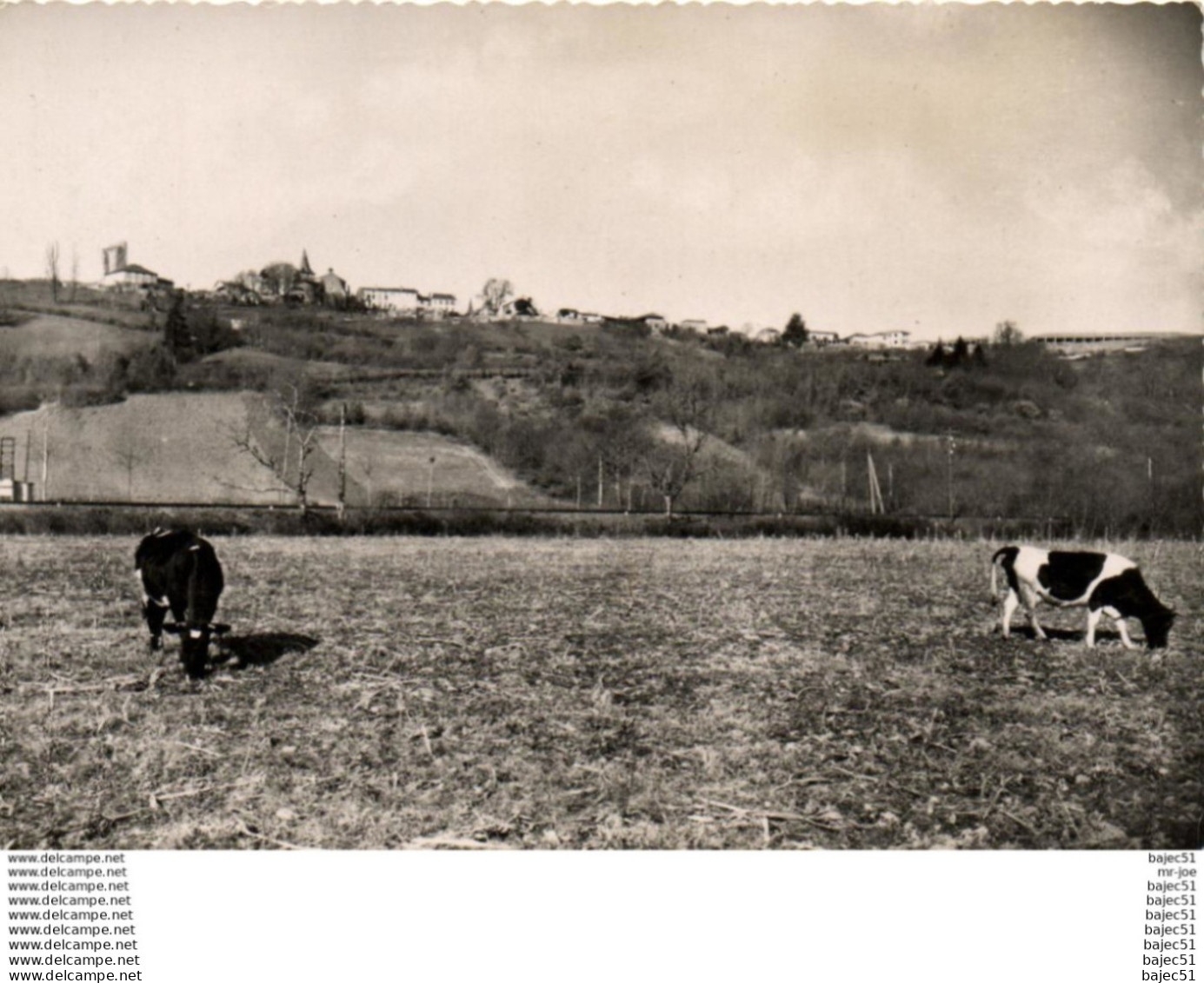 1 cpsm Castelnau rivière basse - vue générale