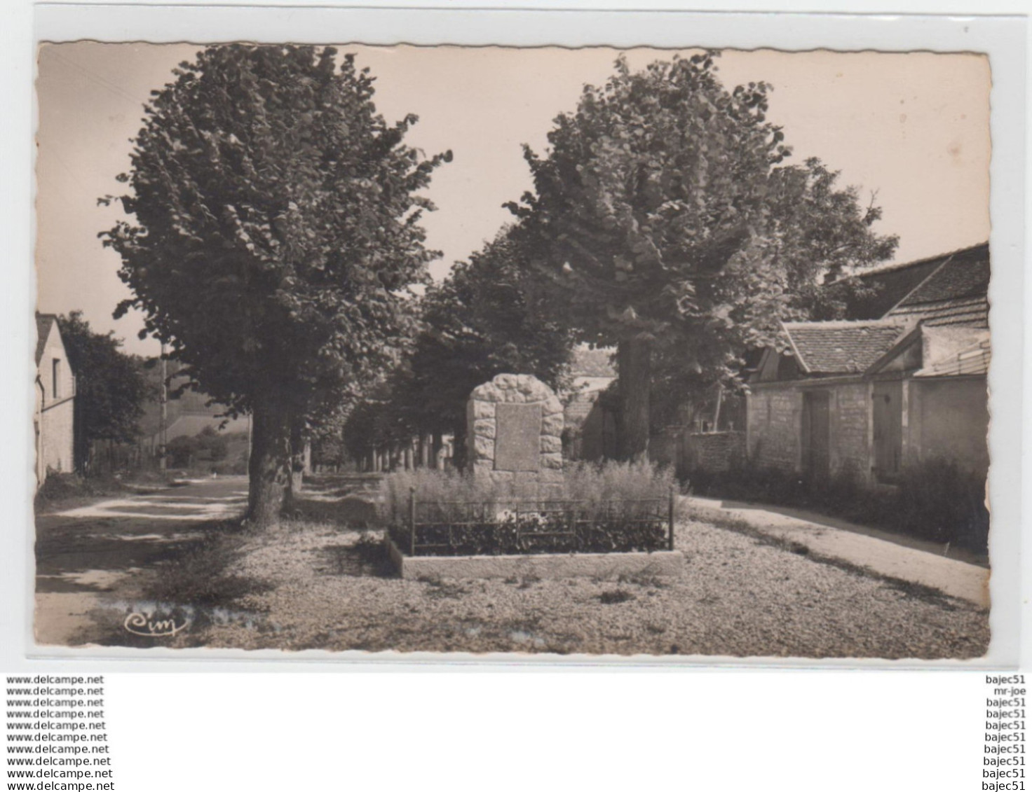 1 cpsm Coulanges la Vineuse