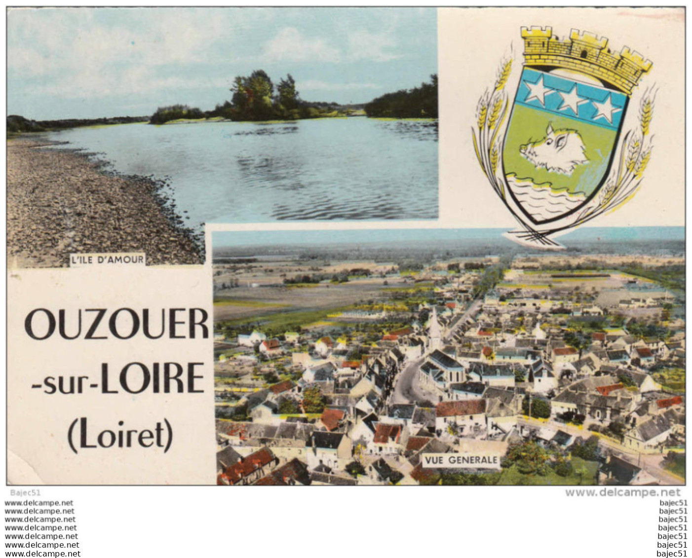1 cpsm Ouzouer sur Loire