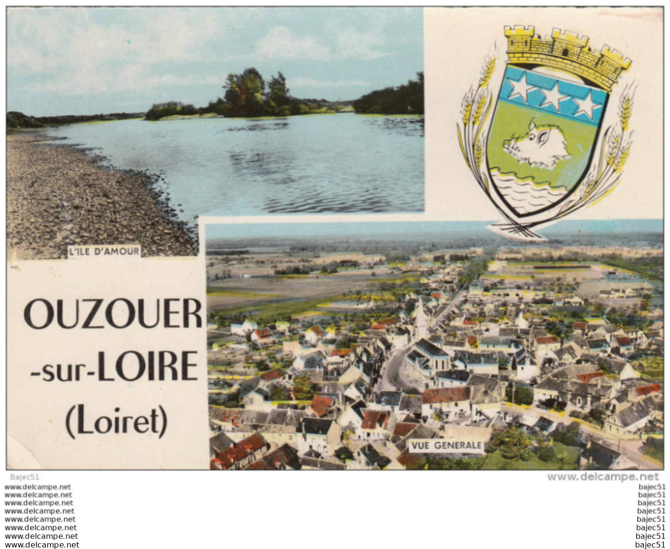 1 cpsm Ouzouer sur Loire