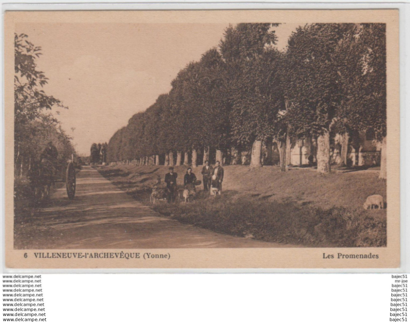 1 cpsm Villeneuve l'archevêque