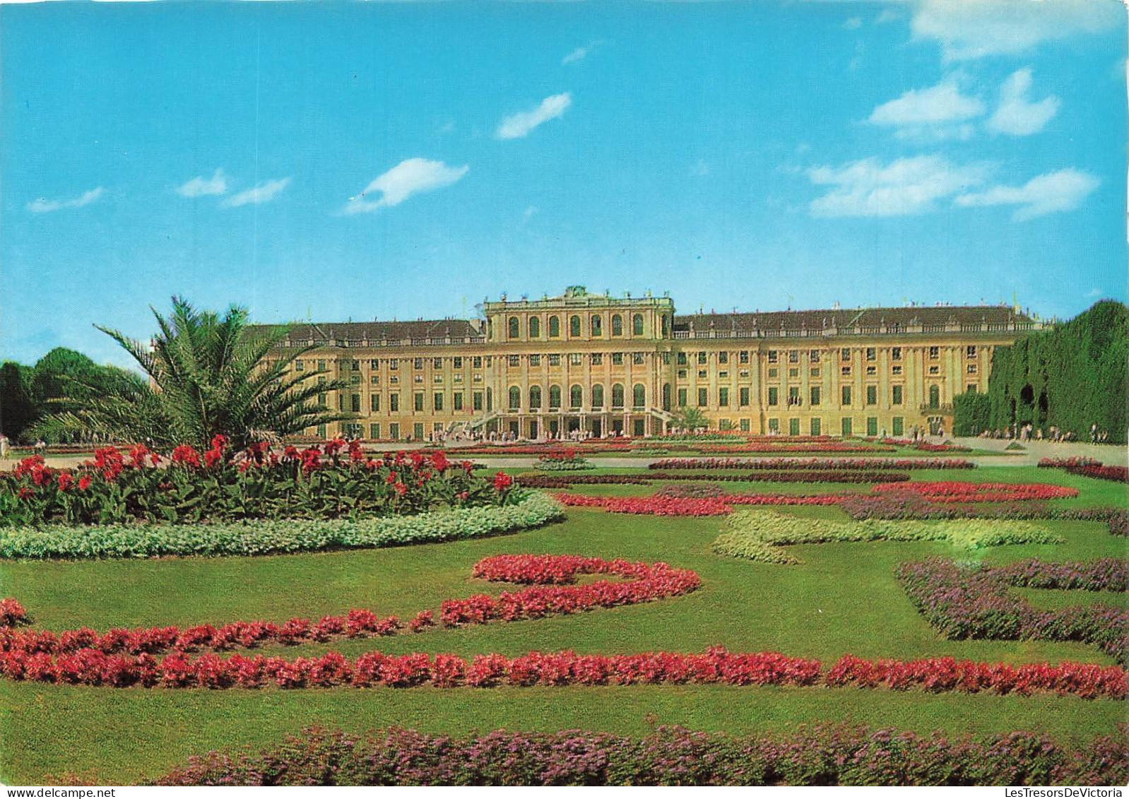 [-10%] AUTRICHE - Schloss Schönbrunn - Blumenparterre - Château - Jardin - Parterre de fleurs - Dattier - Animé - Carte