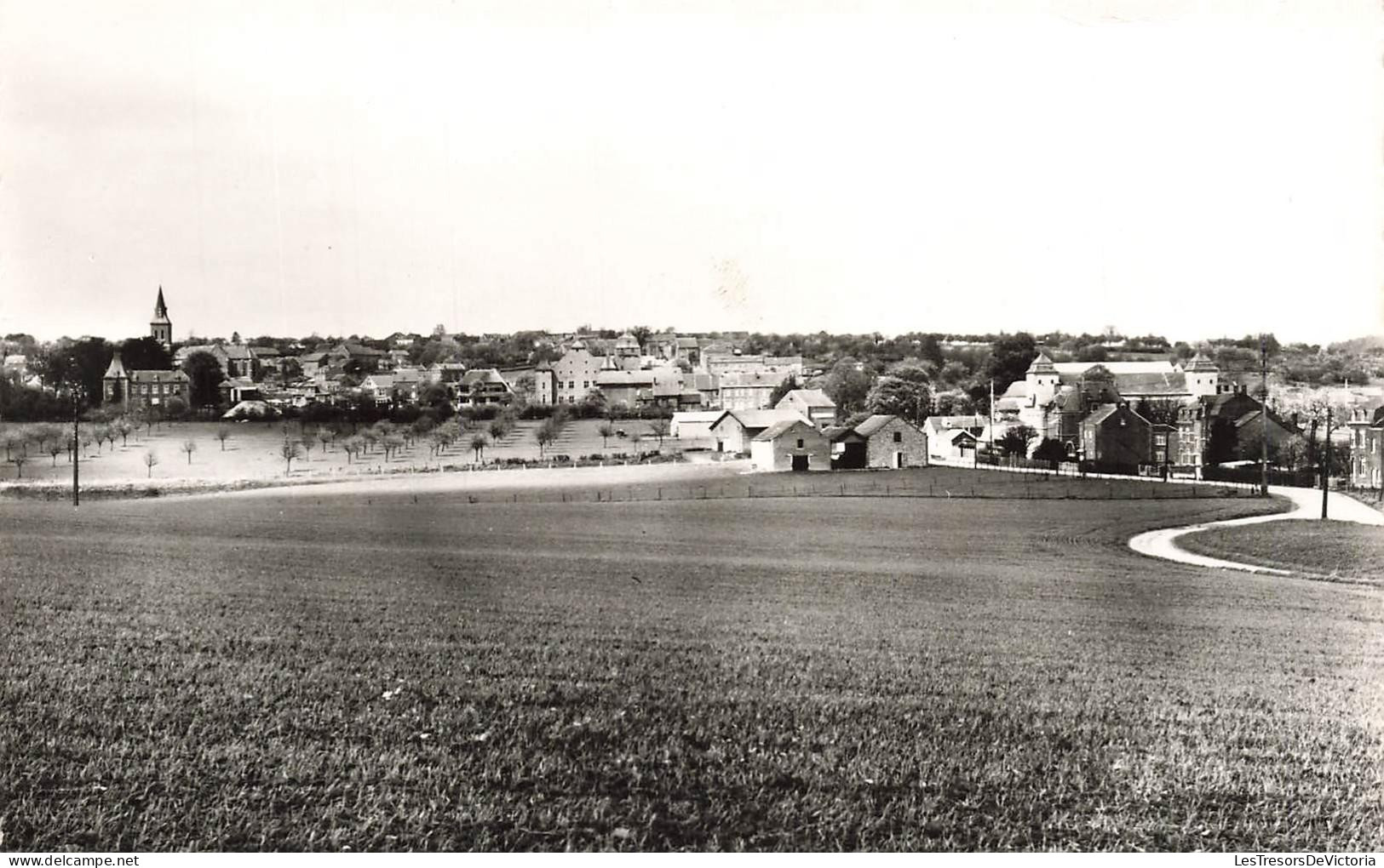 [-10%] BELGIQUE - Anthisnes - le panorama - vue densemble - Carte postale Ancienne