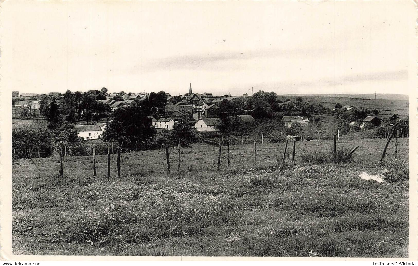 [-10%] BELGIQUE - Bertogne sur Ourthe - Hautes Falizes - Panorama - Village - Champ - Nels - Thill - Carte postale