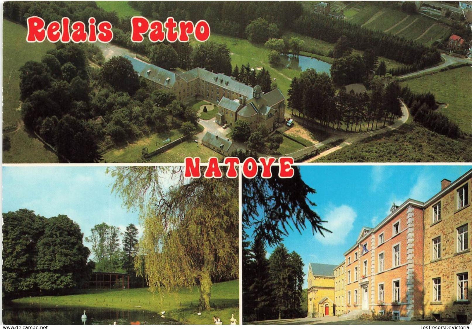 [-10%] BELGIQUE - Hamois - Relais Patro - Centre de rencontres et dhébergement - Natoye - Carte Postale