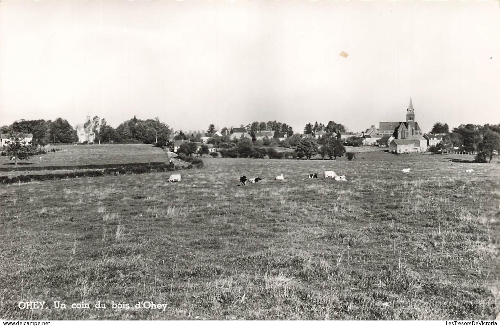 [-10%] BELGIQUE - Ohey - Un coin du bois dOhey - Carte postale