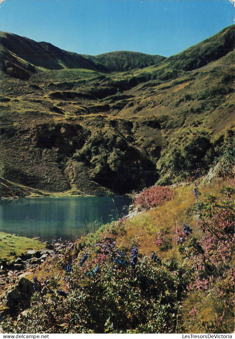 [-10%] FRANCE - Bordères Louron - Lac de Bordères  - Vallée de Bareille - vallée du Louron - obli 1983 - Carte postale