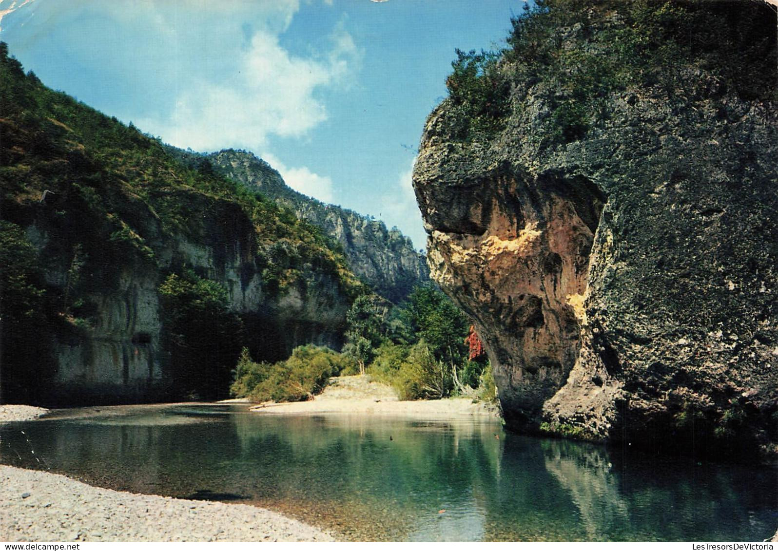 [-10%] FRANCE - Circuit des Gorges du Tarn - la Jonte - L eau claire du Tarn - Edit Pierre Artaud et Cie - Carte Postale