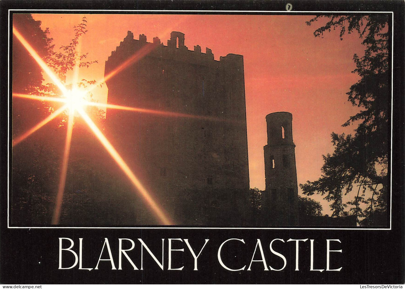 [-10%] IRELANDE - Blarney Castle - situated five miles from Cork city - the castle is famous for its stone - Carte Posta