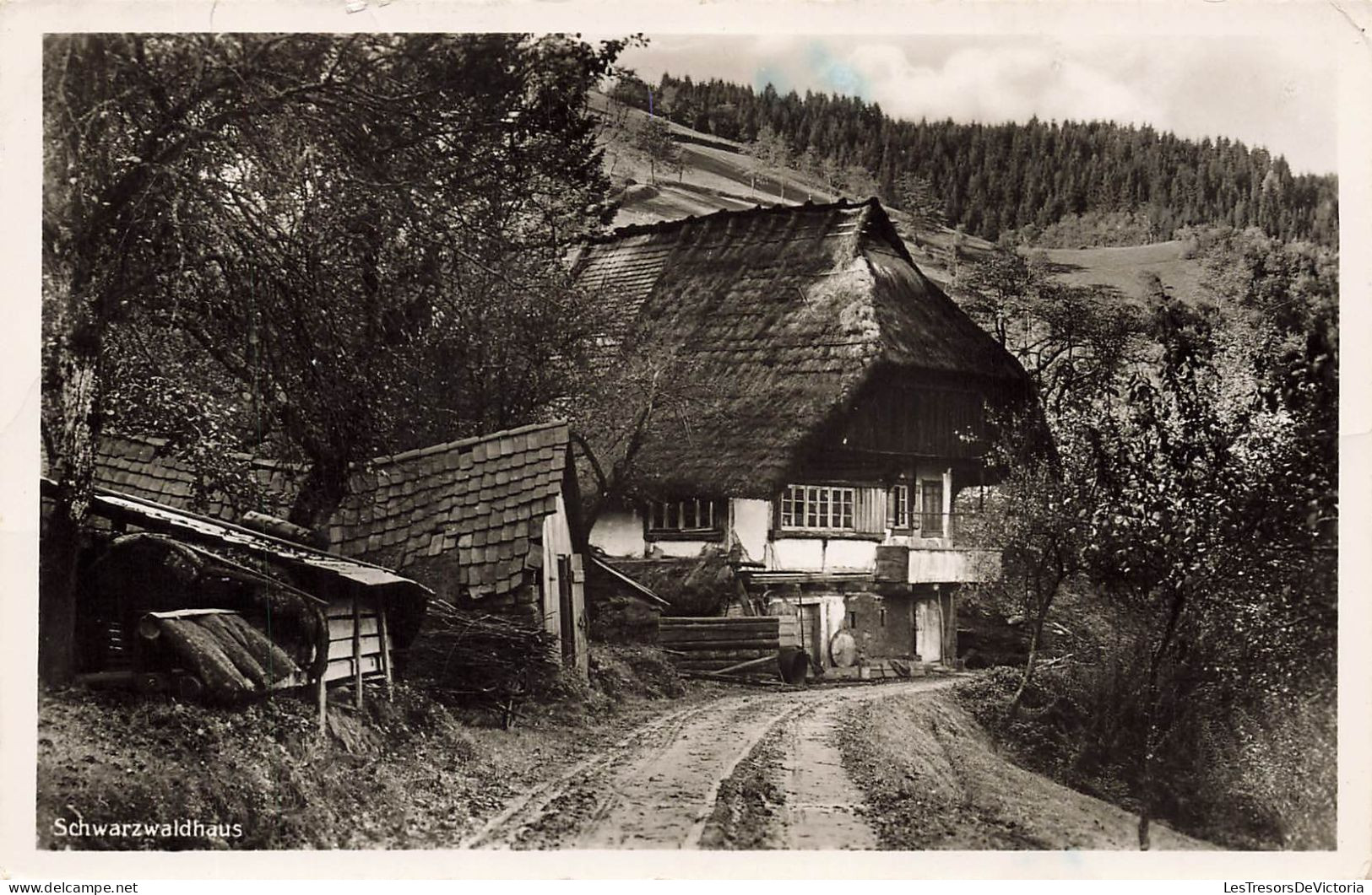 [-10%] MONDE - Schwazwaldhaus - Carte Postale Ancienne