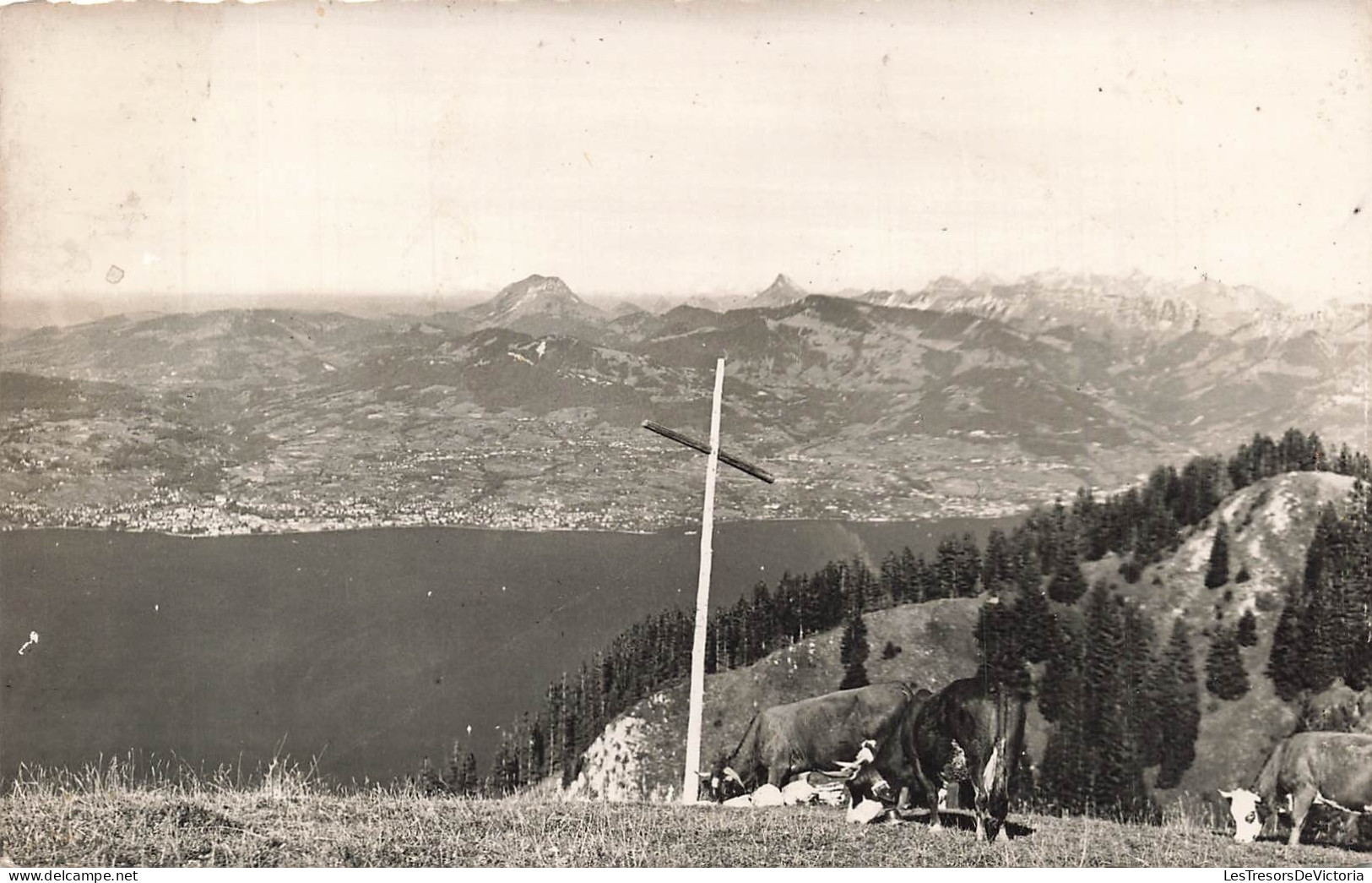 [-10%] SUISSE - Lac Léman - Alpages - Vaches - Bois - Montagne - Paysage - Campagne - Edit GIL - Carte postale