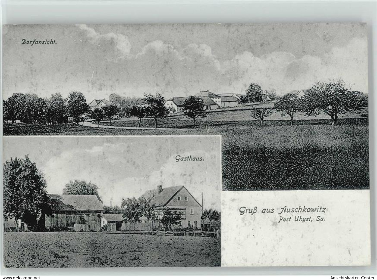 10005163 - Auschkowitz