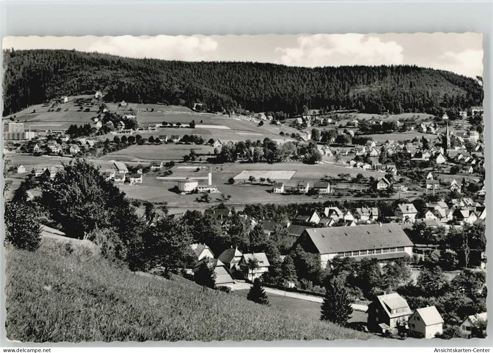 10013826 - Baiersbronn