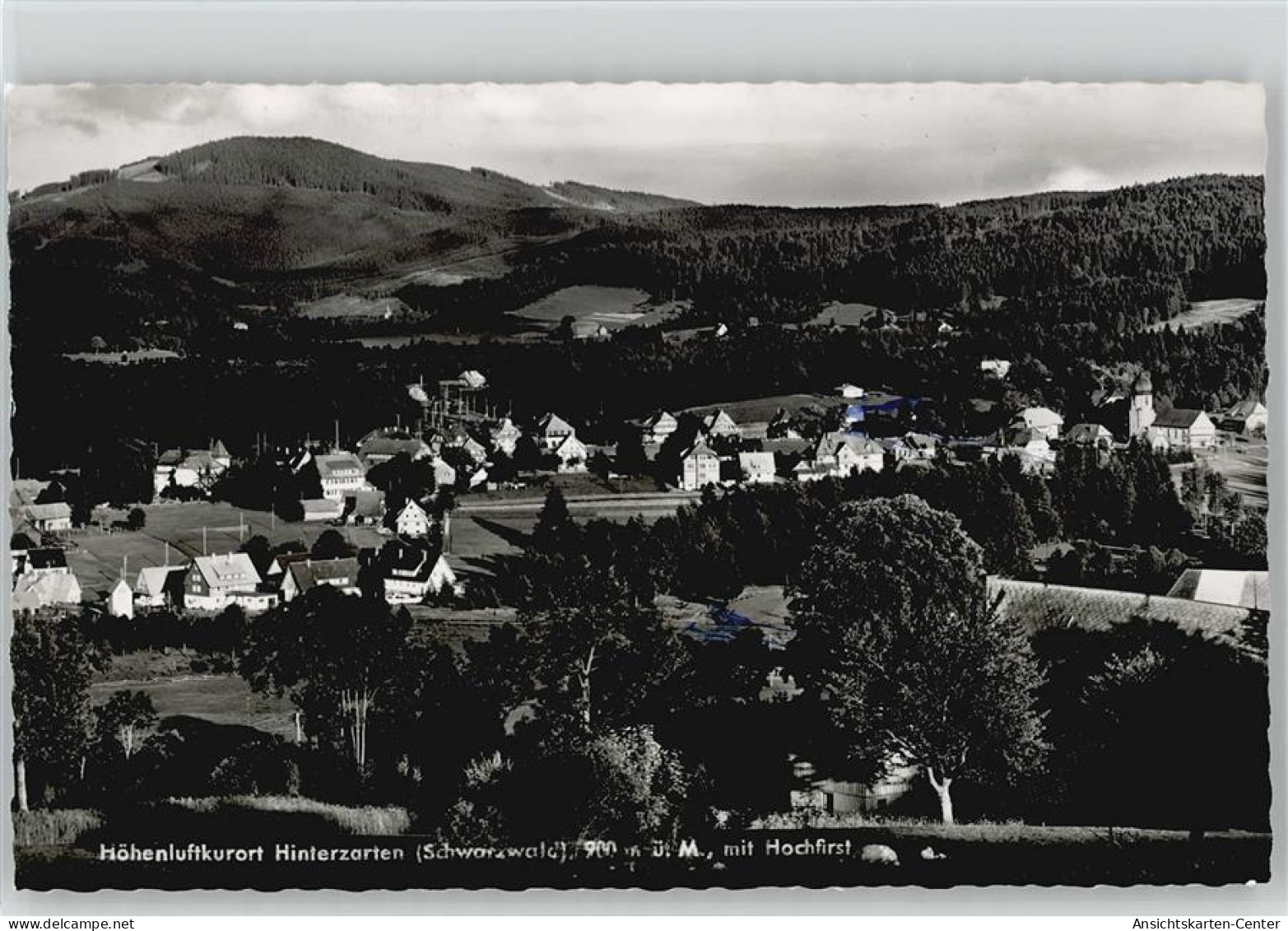 10015959 - Hinterzarten