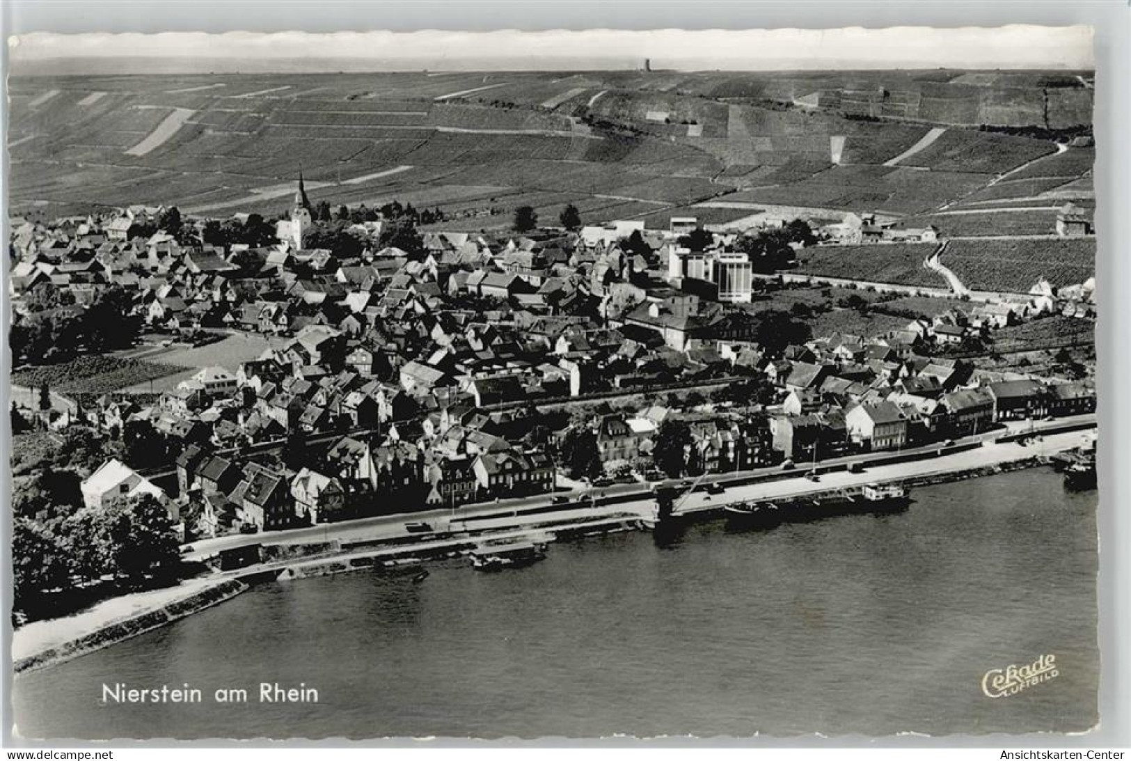 10020575 - Nierstein