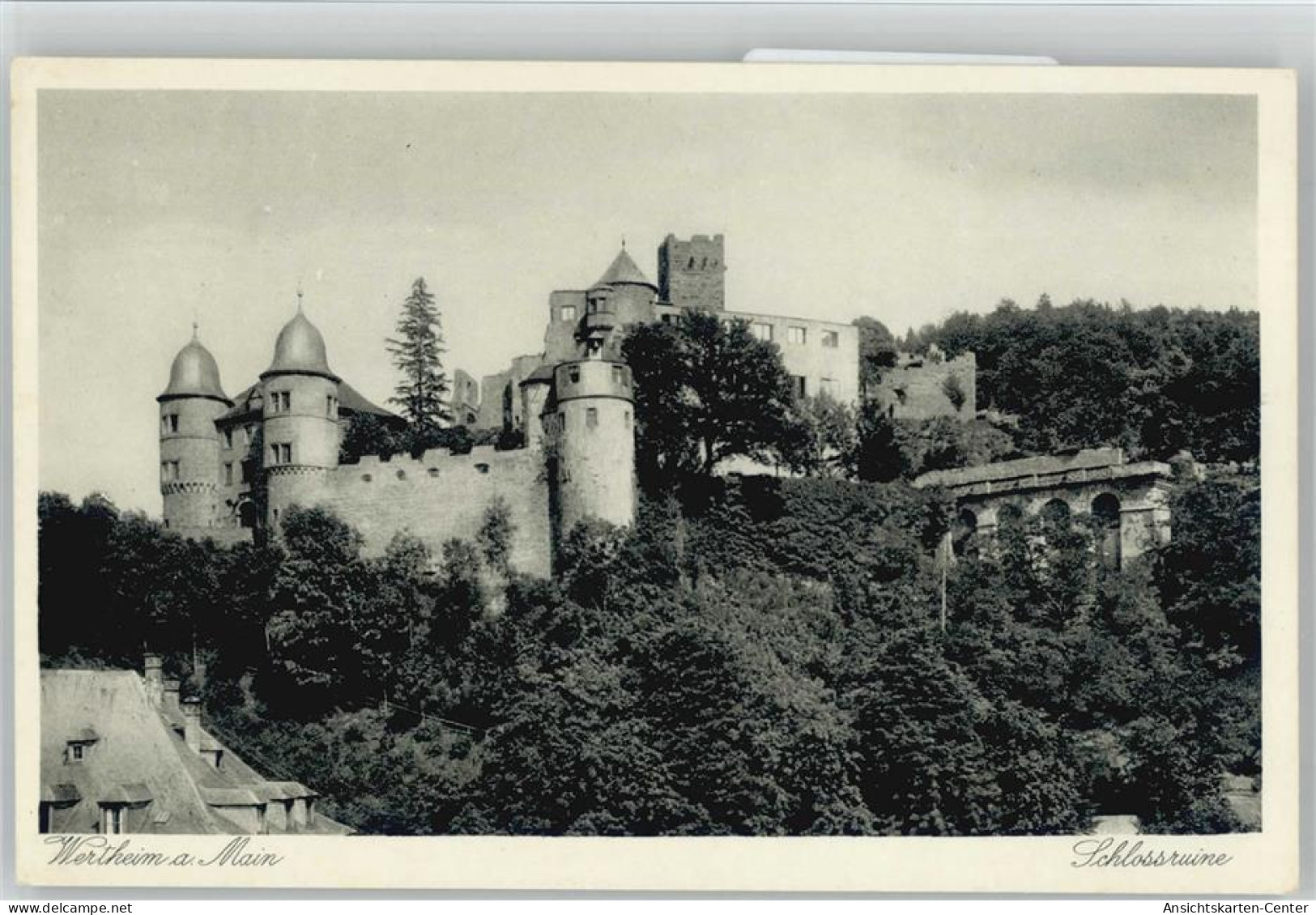 10029486 - Wertheim a Main