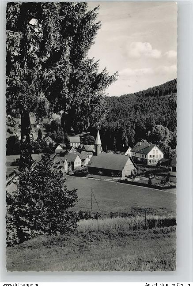 10036893 - Baiersbronn