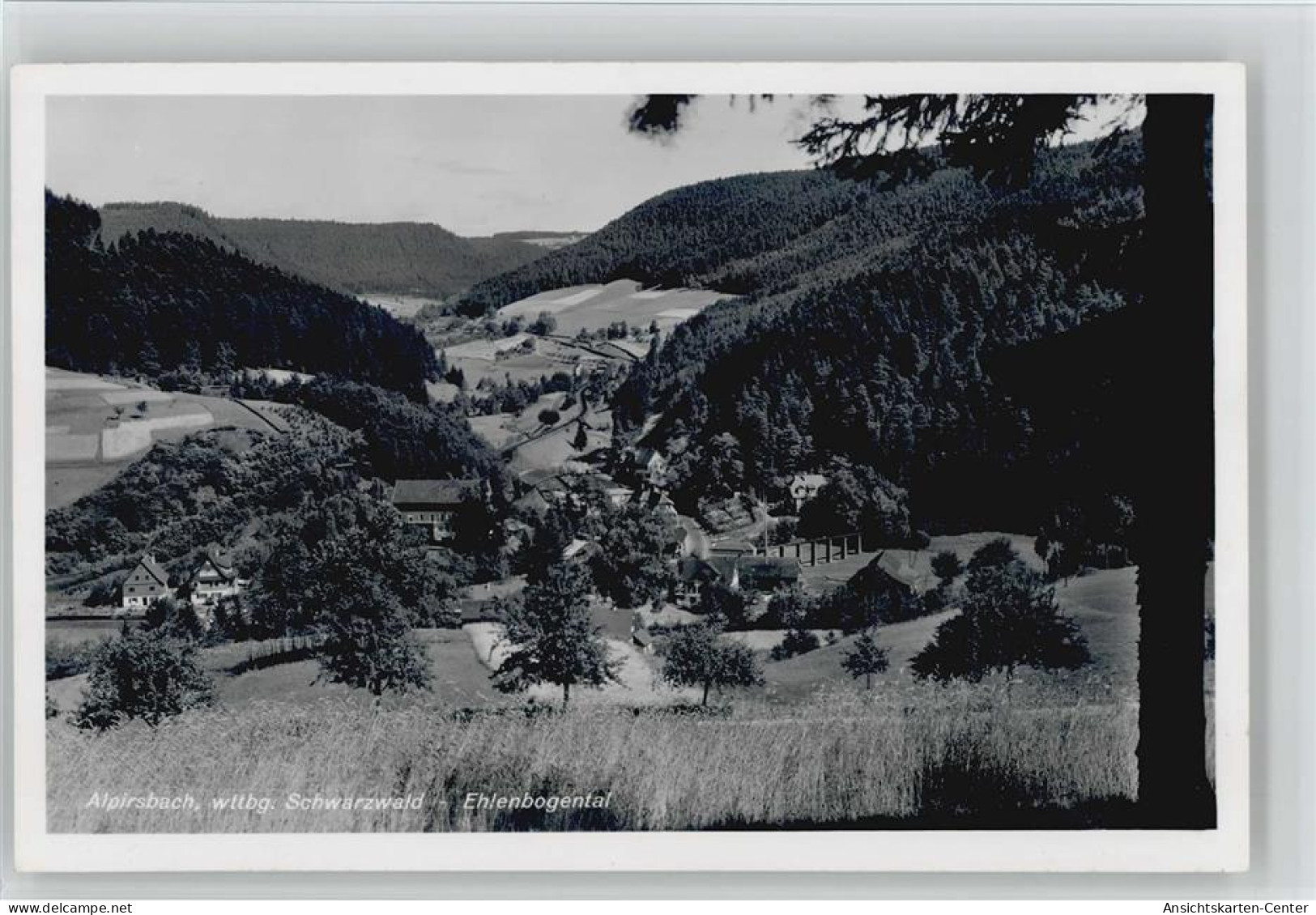 10037188 - Alpirsbach