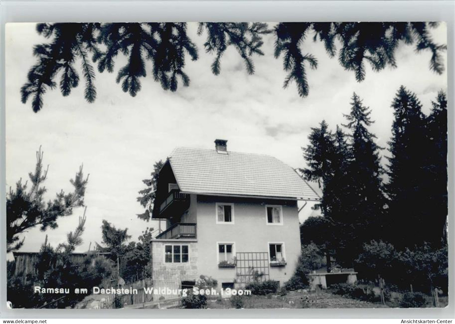 10042626 - Ramsau am Dachstein