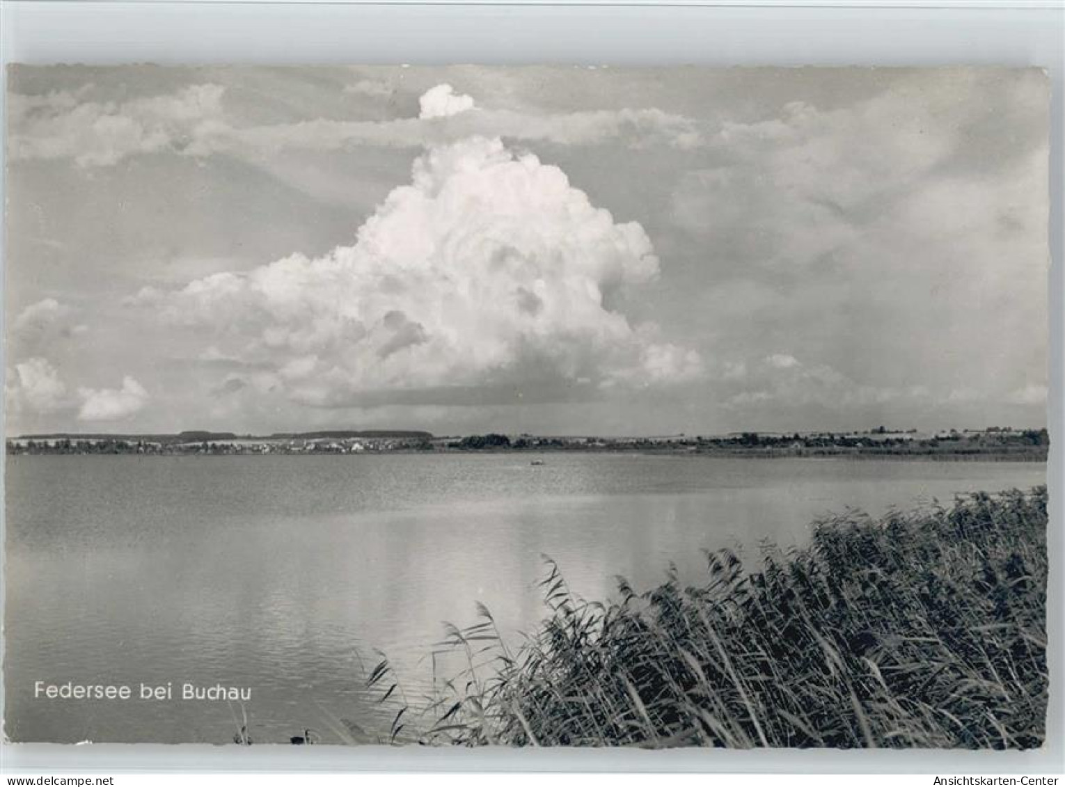 10044829 - Bad Buchau