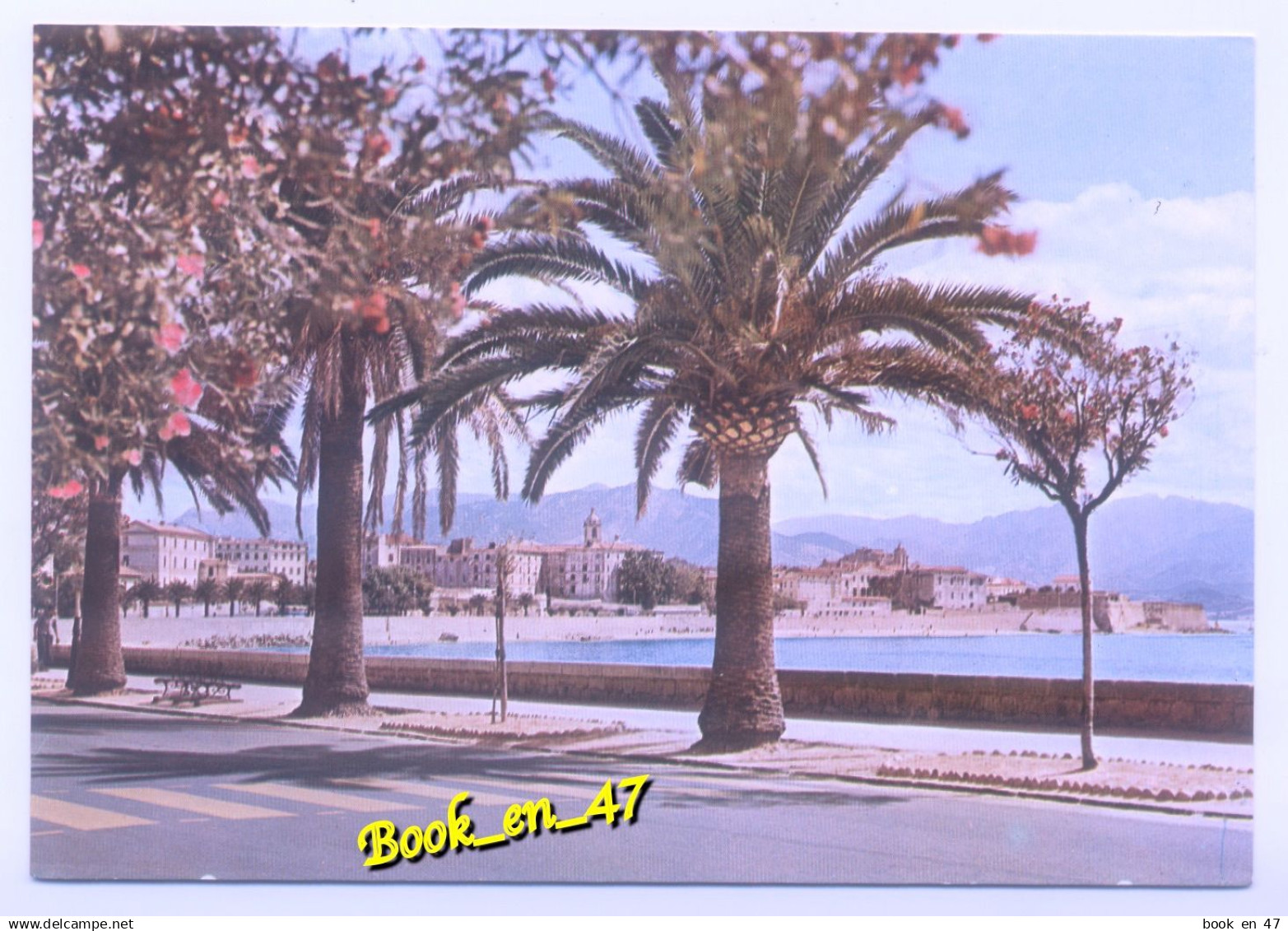 {100454} 20 2A Corse du Sud Ajaccio